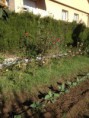 /album/taller-jardineria/img-0308-jpg/